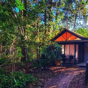3* Курортный комплекс Rainforest